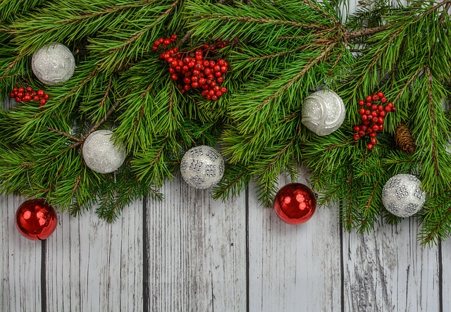 L’essentiel à savoir à propos du sapin en bois